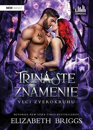 Trináste znamenie by Elizabeth Briggs