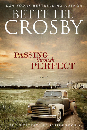 Passing through Perfect by Bette Lee Crosby