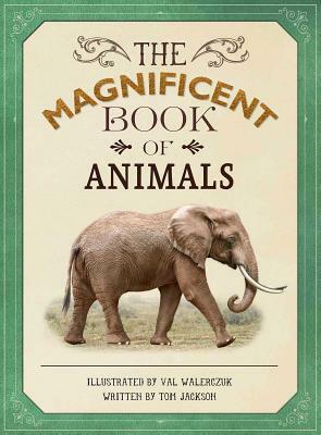 The Magnificent Book of Animals by Tom Jackson