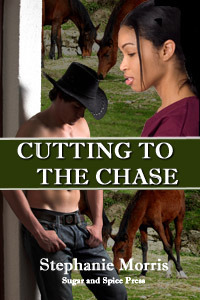 Cutting To The Chase by Stephanie Morris