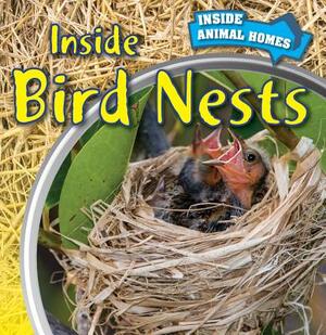 Inside Bird Nests by Ethan Danielson