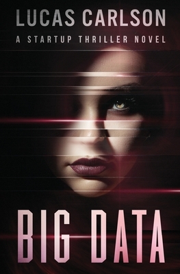 Big Data: A Startup Thriller Novel by Lucas Carlson