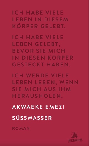 Süßwasser by Akwaeke Emezi