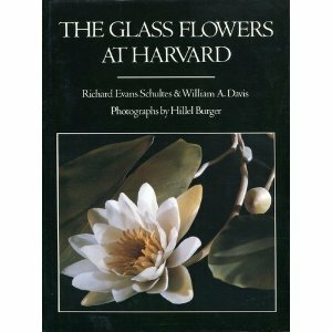 The Glass Flowers at Harvard by Richard Evans Schultes, William A. Davis