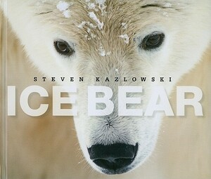 Ice Bear: The Arctic World of Polar Bears by Steven Kazlowski