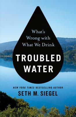 Troubled Water: What's Wrong with What We Drink by Seth M. Siegel