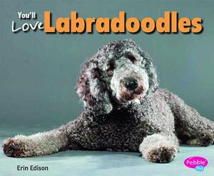 You'll Love Labradoodles by Erin Edison