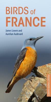 Birds of France by Aurelien Audevard, James Lowen