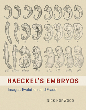 Haeckel's Embryos: Images, Evolution, and Fraud by Nick Hopwood