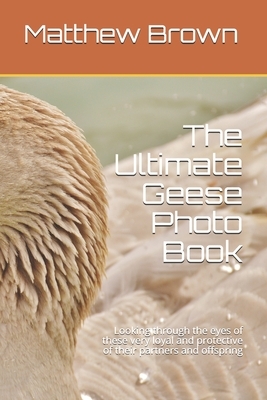 The Ultimate Geese Photo Book: Looking through the eyes of these very loyal and protective of their partners and offspring by Matthew Brown