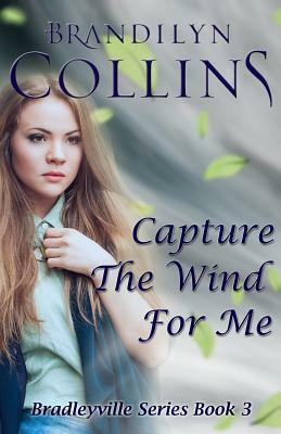 Capture The Wind For Me by Brandilyn Collins