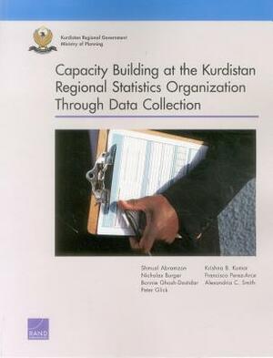 Capacity Building at the Kurdistan Region Statistics Office Through Data Collection by Bonnie Ghosh-Dastidar, Nicholas Burger, Shmuel Abramzon