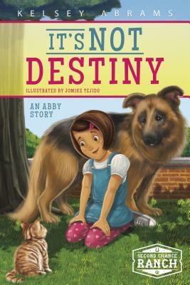 It's Not Destiny: An Abby Story by Kelsey Abrams