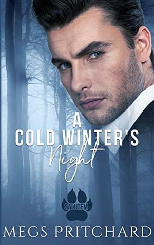 A Cold Winter's Night by Megs Pritchard