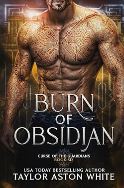 Burn of Obsidian by Taylor Aston White