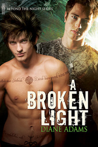 A Broken Light by Diane Adams