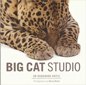 Big Cat Studio by Barry Bland, Bhagavan Antle
