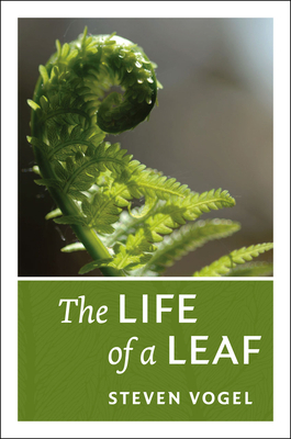 The Life of a Leaf by Steven Vogel