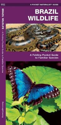 Brazil Wildlife: A Folding Pocket Guide to Familiar Animals by James Kavanagh, Waterford Press