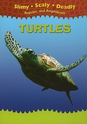 Turtles by Tim Harris