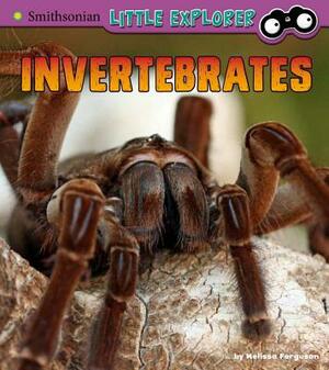 Invertebrates: A 4D Book by Melissa Ferguson