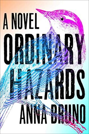 Ordinary Hazards by Anna Bruno