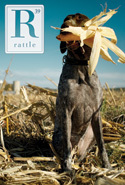 Rattle: Spring 2013 by Timothy   Green, John Gosslee