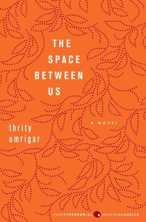 The Space Between Us by Thrity Umrigar