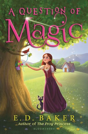 A Question of Magic by E.D. Baker