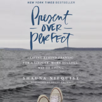Present Over Perfect: Leaving Behind Frantic for a Simpler, More Soulful Way of Living by Shauna Niequist