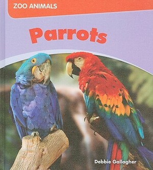 Parrots by Debbie Gallagher