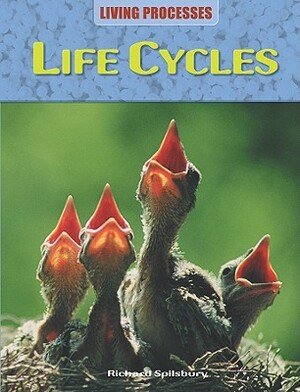Life Cycles by Richard Spilsbury