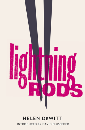 Lightning Rods by David L. Flusfeder, Helen DeWitt