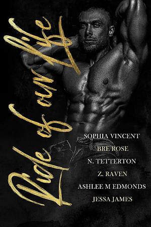 Ride of Our Life: An Anthology by Sophia Vincent, Sophia Vincent, Bre Rose, N. Tetterton