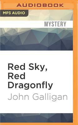 Red Sky, Red Dragonfly by John Galligan