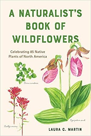 Wild Orchids; Volume 1, Melville by Robert Dewhurst, Sean Reynolds