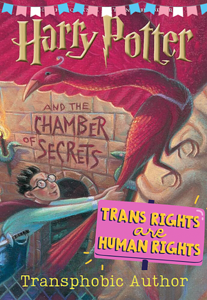 Harry Potter and the Chamber of Secrets by SheWhoShallNotBeNamed