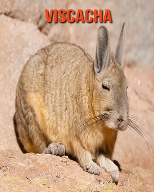 Viscacha: Learn About Viscacha and Enjoy Colorful Pictures by Matilda Leo