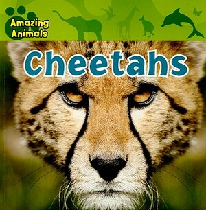 Cheetahs by Sarah Albee, Kate Delaney