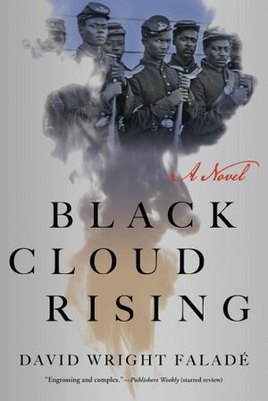 Black Cloud Rising by David Wright Faladé