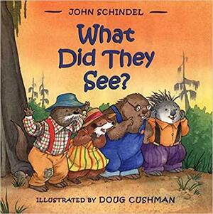 What Did They See? by John Schindel