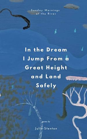 In the Dream I Jump From a Great Height and Land Safely: A Poetry Collection by Corinne Owens