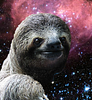 humblesloth's profile picture