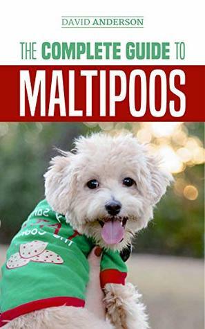 The Complete Guide to Maltipoos: Everything you need to know before getting your Maltipoo dog by David Anderson