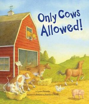 Only Cows Allowed! by Lynn Plourde