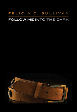 Follow Me into the Dark by Felicia C. Sullivan