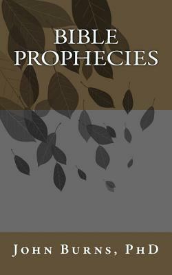 Bible Prophecies by John Bolt