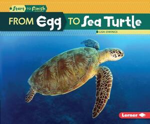 From Egg to Sea Turtle by Lisa Owings