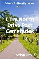 I Try Not to Drive Past Cemeteries by Evelyn David