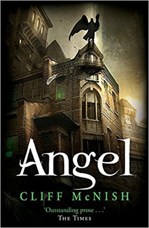 Angel by Cliff McNish